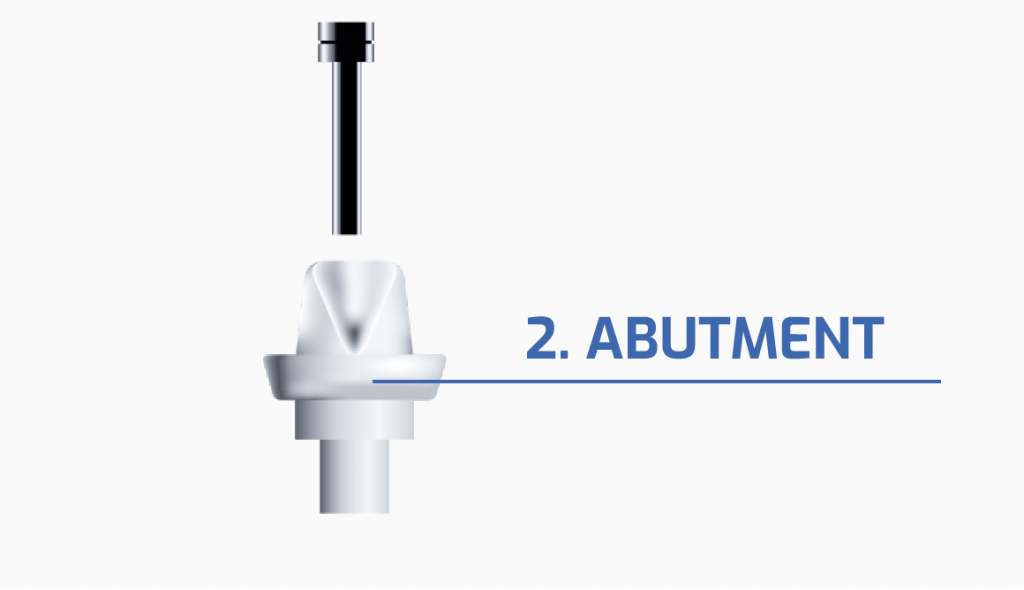 The dental implant abutment.