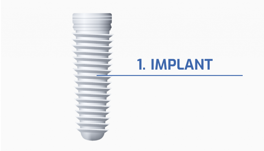 The dental implant screw.